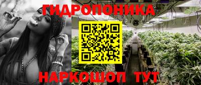 гидропоника Владимир