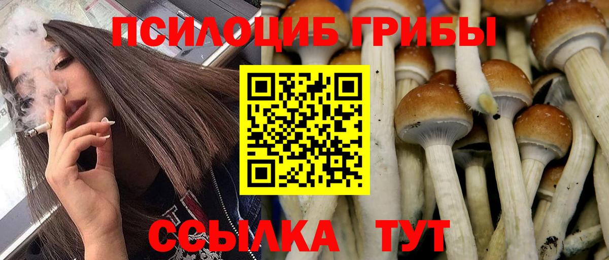 Богородск  Псилоцибиновые грибы Cubensis  Вход с VPN  Галлюциногенные грибы мицелий 